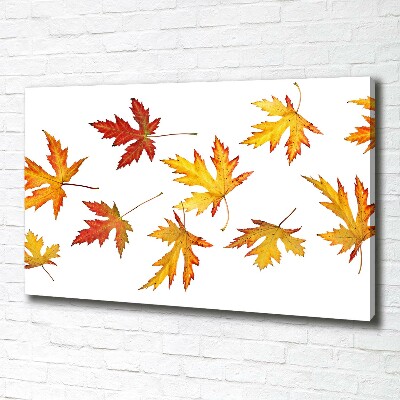 Cuadro canvas con impresión uv duradera horizontal Hojas de otoño