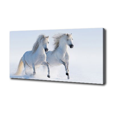 Cuadro canvas moderno de gran formato horizontal Dos caballos en la nieve