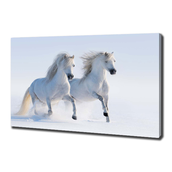 Cuadro canvas moderno de gran formato horizontal Dos caballos en la nieve