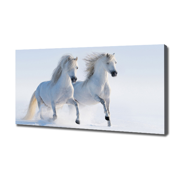 Cuadro canvas moderno de gran formato horizontal Dos caballos en la nieve