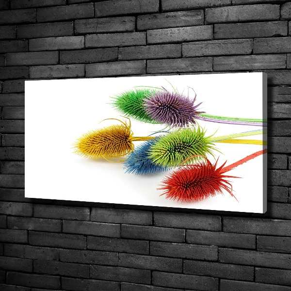 Cuadro canvas moderno de gran formato horizontal Cardo