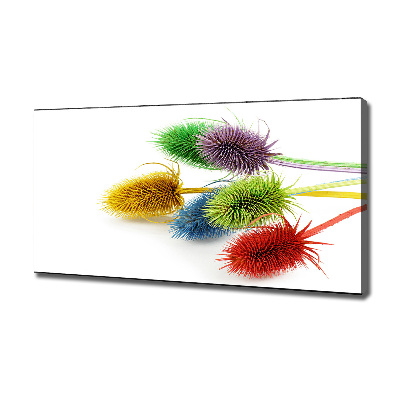 Cuadro canvas moderno de gran formato horizontal Cardo