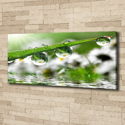 Foto en lienzo con acabado profesional horizontal Gotas sobre la hierba