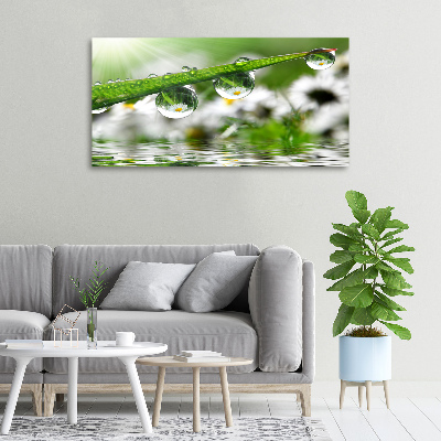 Foto en lienzo con acabado profesional horizontal Gotas sobre la hierba