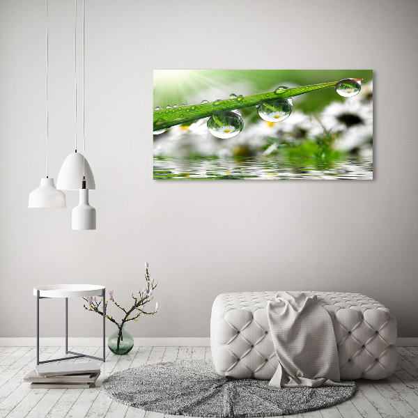 Foto en lienzo con acabado profesional horizontal Gotas sobre la hierba