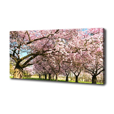 Cuadro canvas con impresión uv duradera horizontal cerezos