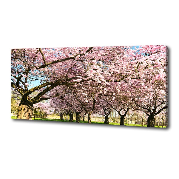 Cuadro canvas con impresión uv duradera horizontal cerezos