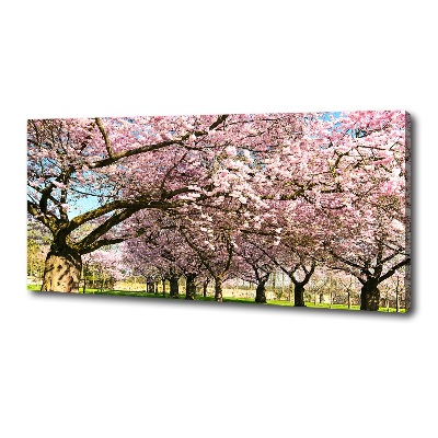 Cuadro canvas con impresión uv duradera horizontal cerezos