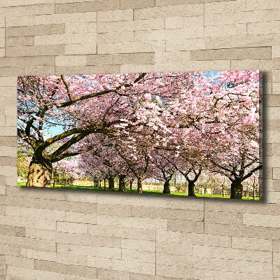 Cuadro canvas con impresión uv duradera horizontal cerezos