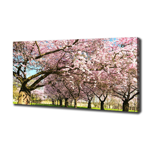 Cuadro canvas con impresión uv duradera horizontal cerezos