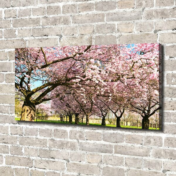 Cuadro canvas con impresión uv duradera horizontal cerezos