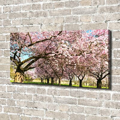 Cuadro canvas con impresión uv duradera horizontal cerezos