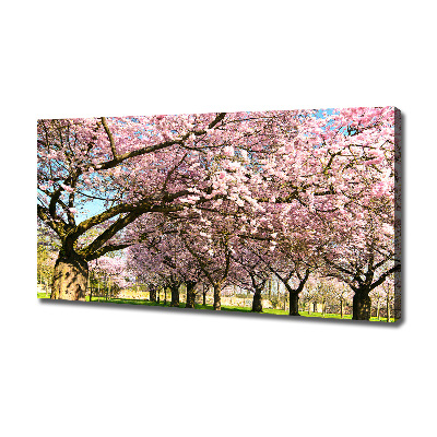 Cuadro canvas con impresión uv duradera horizontal cerezos