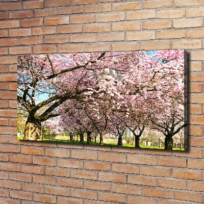 Cuadro canvas con impresión uv duradera horizontal cerezos