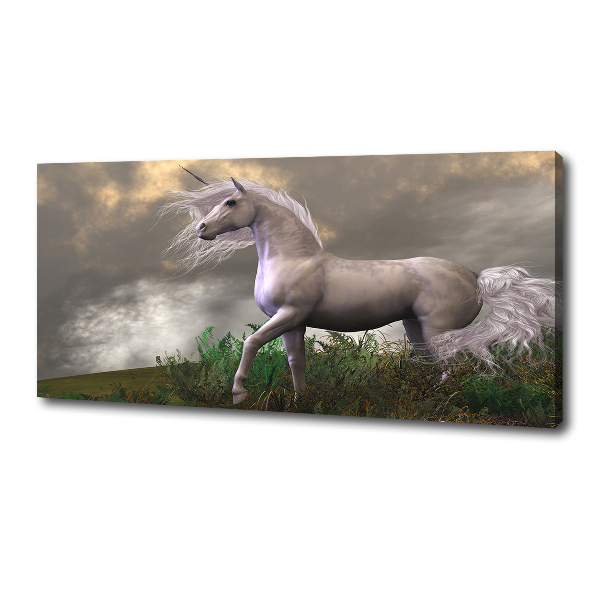 Fotocuadro en lienzo de alta calidad horizontal Unicornio gris