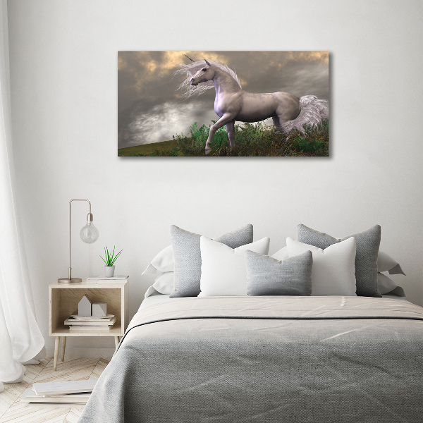 Fotocuadro en lienzo de alta calidad horizontal Unicornio gris