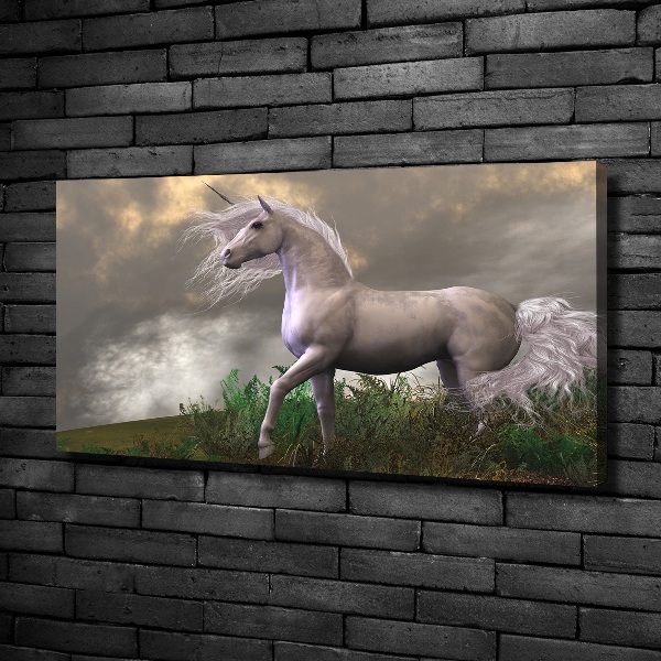 Fotocuadro en lienzo de alta calidad horizontal Unicornio gris