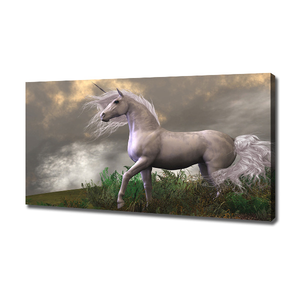 Fotocuadro en lienzo de alta calidad horizontal Unicornio gris