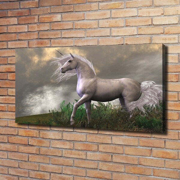 Fotocuadro en lienzo de alta calidad horizontal Unicornio gris