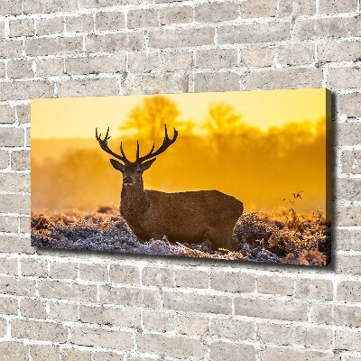 Cuadro canvas con impresión uv duradera horizontal Amanecer de ciervos