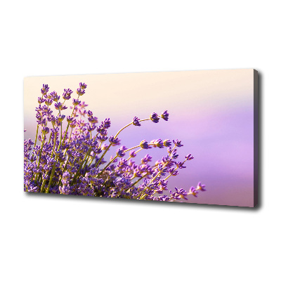 Cuadro canvas moderno de gran formato horizontal Lavanda