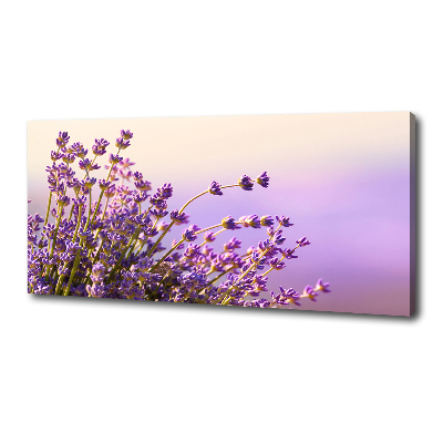 Cuadro canvas moderno de gran formato horizontal Lavanda