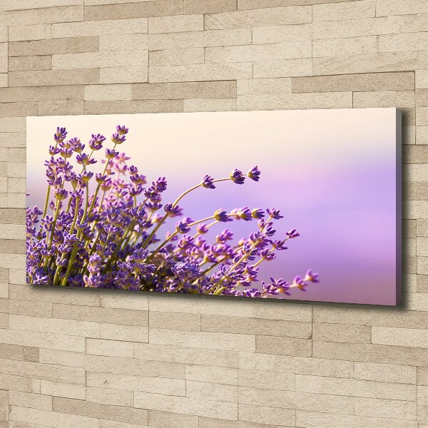 Cuadro canvas moderno de gran formato horizontal Lavanda