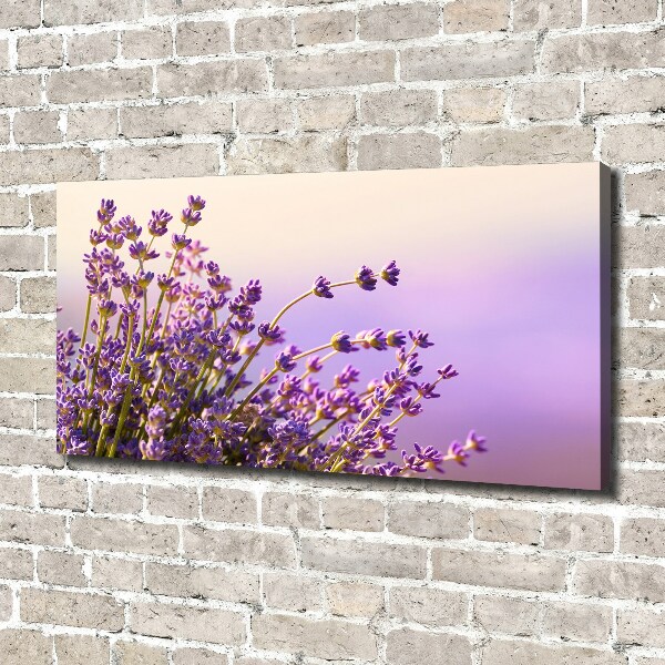 Cuadro canvas moderno de gran formato horizontal Lavanda