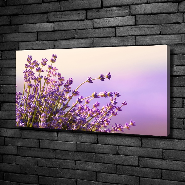 Cuadro canvas moderno de gran formato horizontal Lavanda
