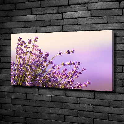 Cuadro canvas moderno de gran formato horizontal Lavanda