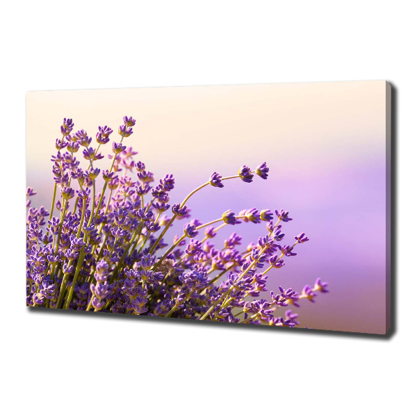 Cuadro canvas moderno de gran formato horizontal Lavanda