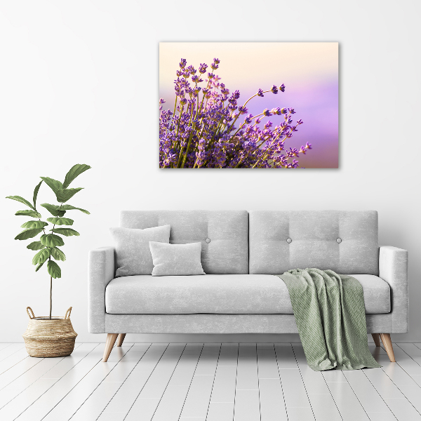 Cuadro canvas moderno de gran formato horizontal Lavanda