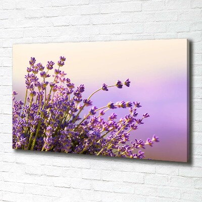 Cuadro canvas moderno de gran formato horizontal Lavanda
