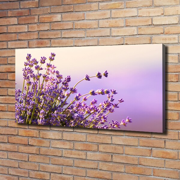 Cuadro canvas moderno de gran formato horizontal Lavanda