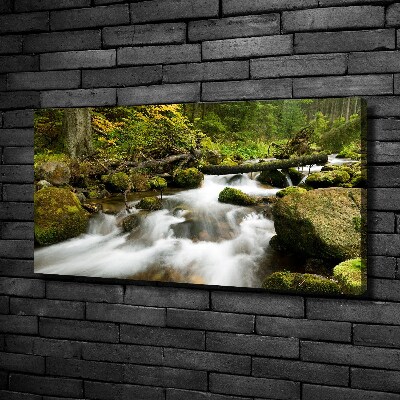 Fotocuadro en lienzo de alta calidad horizontal Arroyo Olczyski