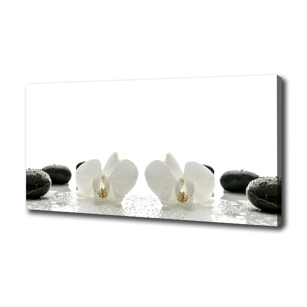 Fotocuadro en lienzo de alta calidad horizontal Orquídea