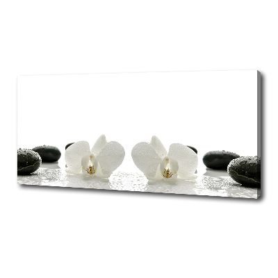 Fotocuadro en lienzo de alta calidad horizontal Orquídea