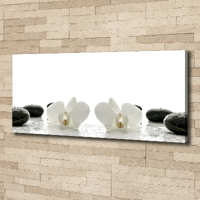 Fotocuadro en lienzo de alta calidad horizontal Orquídea