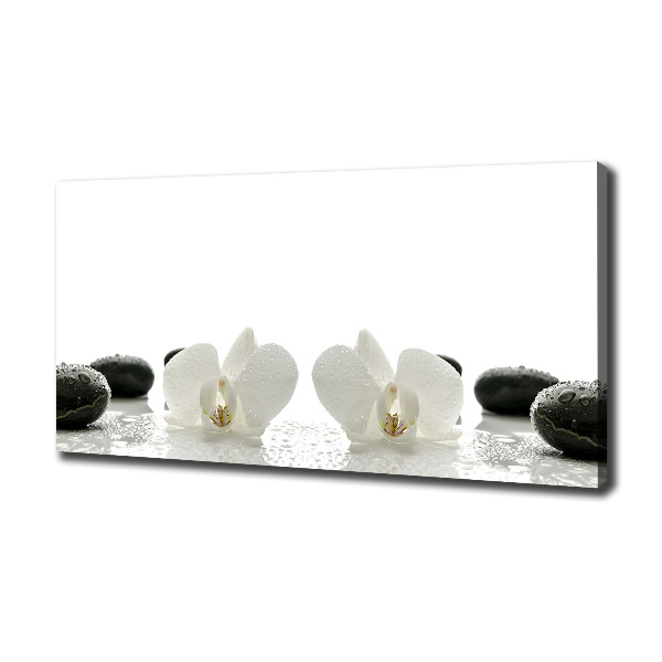 Fotocuadro en lienzo de alta calidad horizontal Orquídea