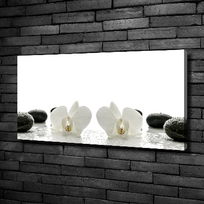 Fotocuadro en lienzo de alta calidad horizontal Orquídea