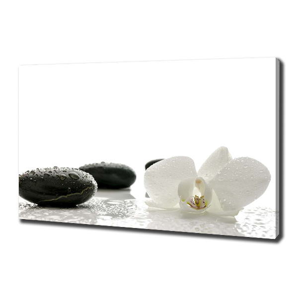 Fotocuadro en lienzo de alta calidad horizontal Orquídea