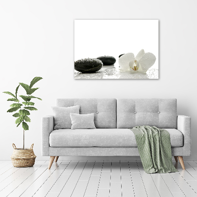 Fotocuadro en lienzo de alta calidad horizontal Orquídea