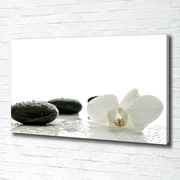 Fotocuadro en lienzo de alta calidad horizontal Orquídea