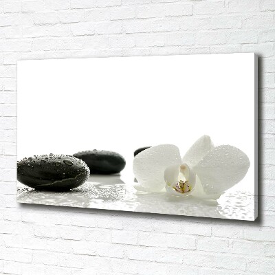 Fotocuadro en lienzo de alta calidad horizontal Orquídea
