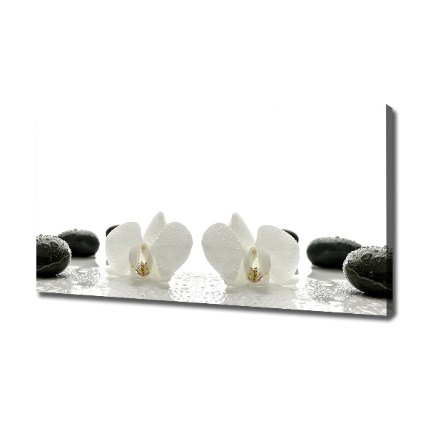 Fotocuadro en lienzo de alta calidad horizontal Orquídea