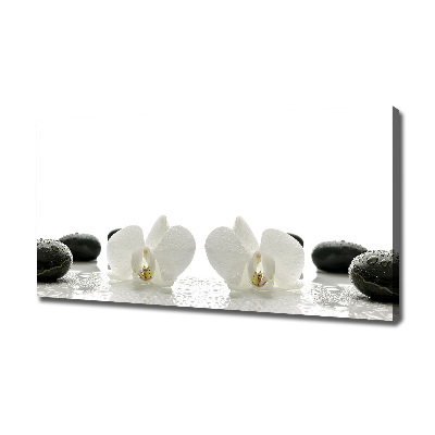 Fotocuadro en lienzo de alta calidad horizontal Orquídea