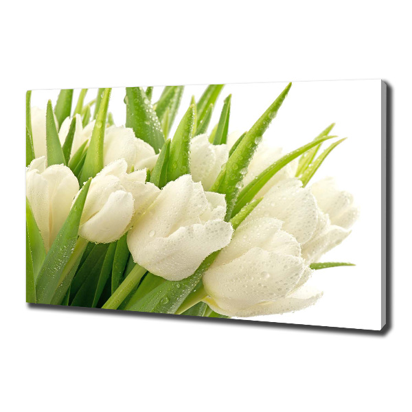 Cuadro canvas con impresión uv duradera horizontal tulipanes blancos