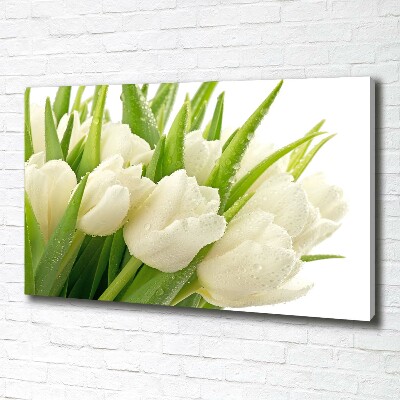 Cuadro canvas con impresión uv duradera horizontal tulipanes blancos
