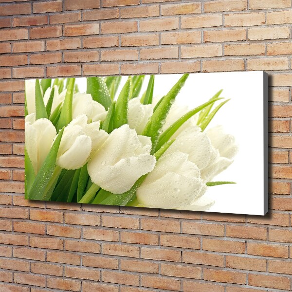 Cuadro canvas con impresión uv duradera horizontal tulipanes blancos