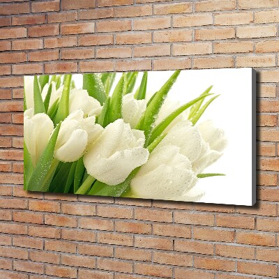 Cuadro canvas con impresión uv duradera horizontal tulipanes blancos